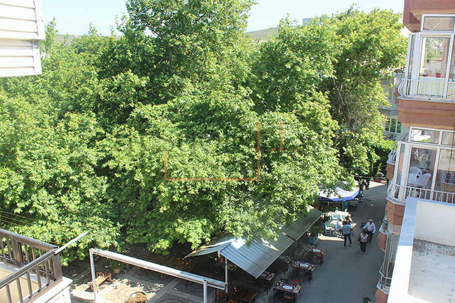 Avşa Apart Otel