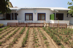 Büyükyol Bahçelievler